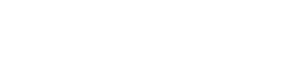 logo light